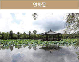 제주안달루시아